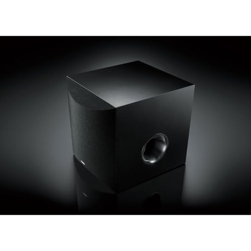 10" 100W Powered Subwoofer - Black B494471