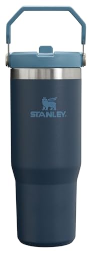 Stainless Steel Tumbler with Straw, Vacuum Insulated Water Bottle T393