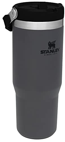 Stainless Steel Tumbler with Straw, Vacuum Insulated Water Bottle T393