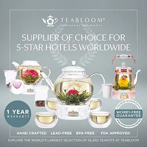 Double Wall Glass Tea Cups, Set of 4 U23822
