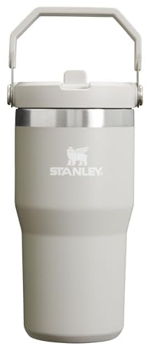 Stainless Steel Tumbler with Straw, Vacuum Insulated Water Bottle T393