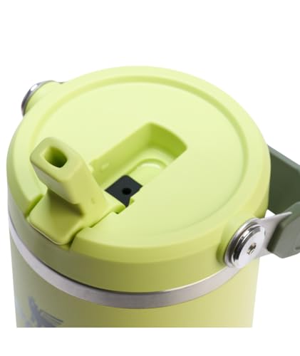 Stainless Steel Tumbler with Straw, Vacuum Insulated Water Bottle T393
