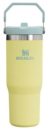 Stainless Steel Tumbler with Straw, Vacuum Insulated Water Bottle T393