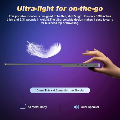 Portable Monitor 18.5 Inch 120Hz FHD IPS for Laptop Gaming Z793