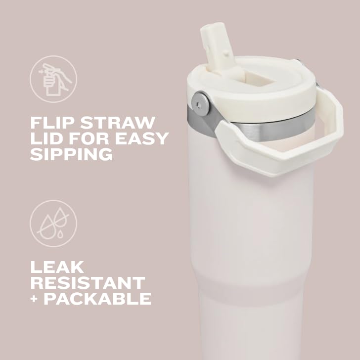 Stainless Steel Tumbler with Straw, Vacuum Insulated Water Bottle T393