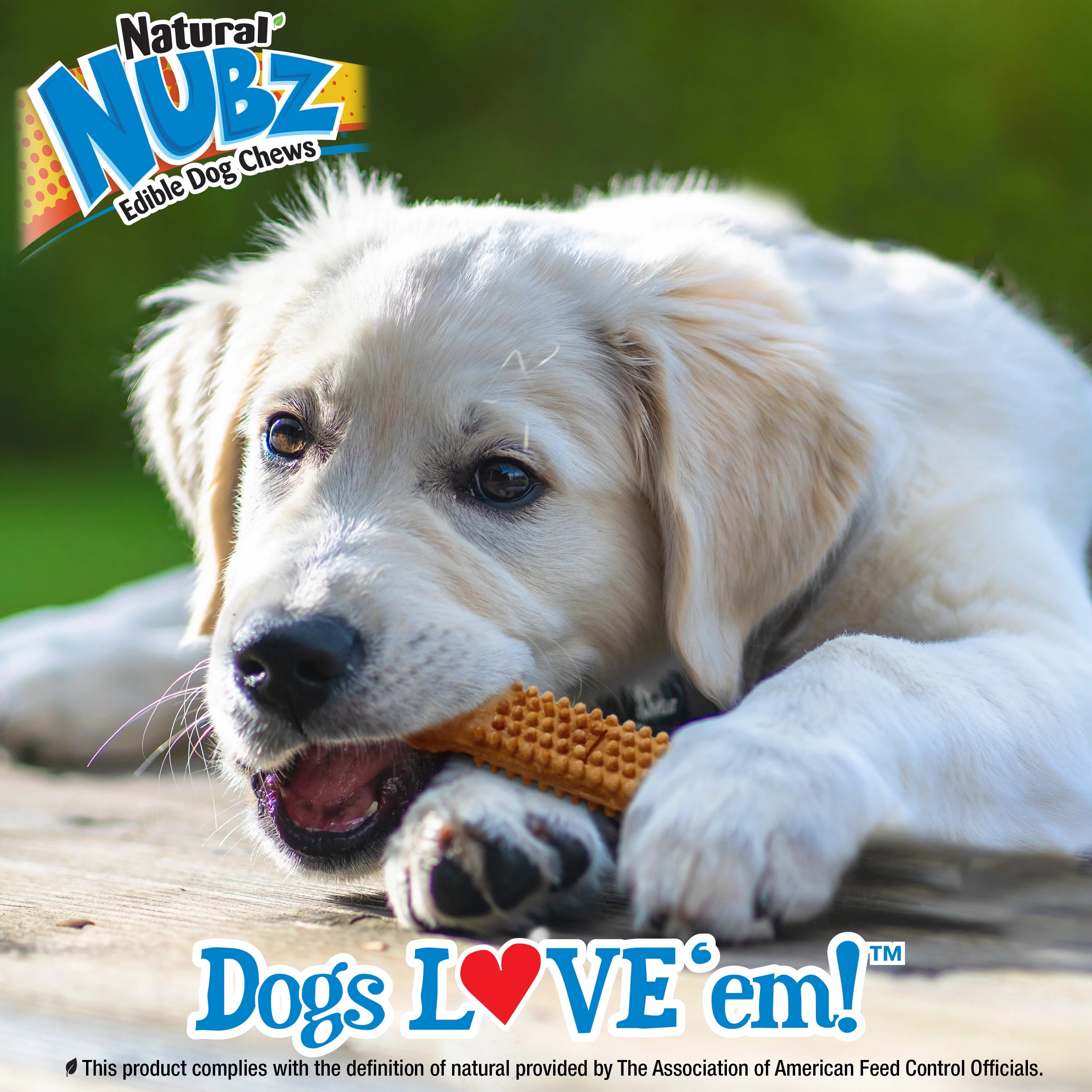 Puppy Chew Treats, Turkey & Sweet Potato Flavor, Small A590